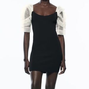 Zara Puff Sleeve Dress